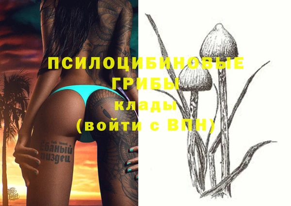 прущая мука Заволжск