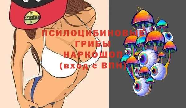 первитин Заводоуковск